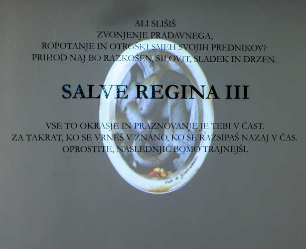 Natalija Šeruga Golob: Salve Regina III (art exhibition), 2019. (Duchamp makes his first readymade (whichever one was first) by performative utterance. - Let this be art! - And he was able to do this because he was, after the scandalous success of Nude Descending a Staircase, at the New York Armory Show, 1913. Duchamp was not a great painter. He is not to be compared with Cezanne, Picasso, Matisse. He himself knew that to become a major figure he would need to be a non-retinal artist. And he seems to have thought that retinal art was, anyhow, over. Retinal art was not over. Nevertheless, as Duchamp said - apropos a work less revolutionary than any readymade - Without knowing it, I had opened a window to something else. What this something else was must occupy our attention while. Adopted from: Patrick Hutchings: The Readymades of Marcel Duchamp: Cut Flowers or les fleurs du mal?)